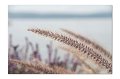 Herbst M 06